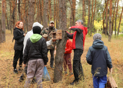Белки Воронежа теперь с обедом: в «Танаисе» появились 15 кормушек