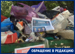 Портретами единороссов на помойке привлекли внимание к проблеме в Воронеже