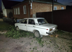 Столкновение с деревом травмировало пьяного водителя в Воронежской области