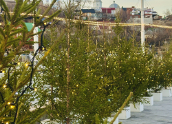 Погода в Воронеже: морозные ночи обещают горожанам