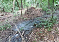 Экологи подсчитали ущерб, причиненный выбросом опасных сточных вод под Воронежем