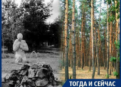 Приговоренный к концессии «Танаис» уже убивали рыночные отношения в Воронеже