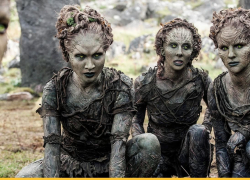 Кто в Воронеже вызвал гнев «детей леса»