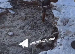 Лопатоизмеритель едва не потеряли при попытке понять глубину коммунального разлива в Воронеже