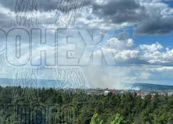Мощное пламя захватило поле в Воронеже