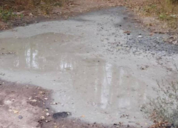 Воронежская полиция нашла виновного в сливе бетона в Северном лесу