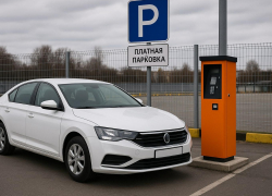 Сколько мэрия Воронежа заработала на штрафах за неоплату парковки