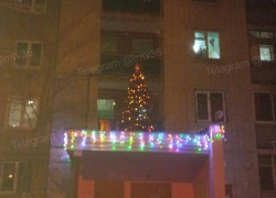 Елку заметили в неожиданном месте в Воронеже