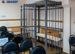Адвокат ответит в суде за ДТП в Воронеже 