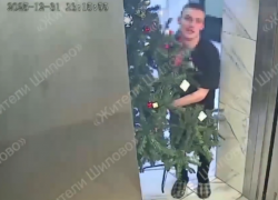 Неожиданный поступок совершили два Гринча в Воронеже 