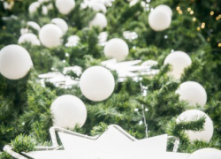 Куда пойти с ребенком на новогодние праздники в Воронеже 2016