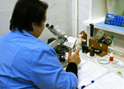 Врачи: в Воронеже нет лихорадки Эбола