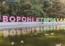 Стало известно, что запрещено проносить на фестиваль «Город-сад» в Воронеже 