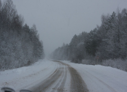 У воронежской трассы нашли мертвой без вести пропавшую женщину