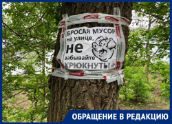 Воронежцы запечатлели объявления со свиньями на Спортивной набережной