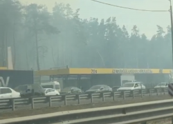 Страшный дым из леса рядом с оживленной трассой сняли в Воронеже 