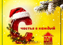 Компания "Воронеж-Дом" от всей души поздравляет жителей Воронежа с Новым годом и Рождеством!
