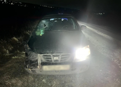 Пешехода сбили насмерть в Воронежской области