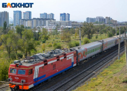 11 поездов задержали в Воронежской области