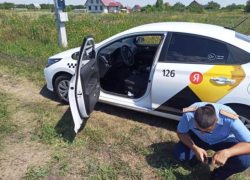 Труп зверски избитого водителя «Яндекс.Такси» нашли под Воронежем 