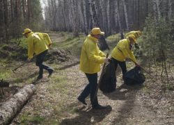 Активисты партии «Справедливая Россия» очистили участок леса в Репном