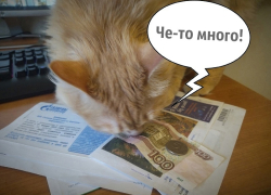 «Больше 20 тысяч»: сколько приходится тратить на оплату ЖКХ в месяц, рассказали читатели «Блокнота» 