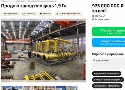 Завод за миллиард пытаются продать через интернет в Воронеже