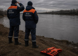 Труп 18-летнего парня достали спасатели МЧС из реки в Воронежской области
