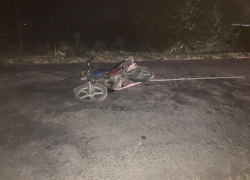 Мопед с двумя детьми сбили на М-4 «Дон» в Воронежской области