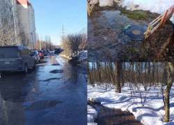 Канализационные стоки затопили воронежский памятник природы Нагорная дубрава