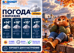 «Облака - белокрылые лошадки!»: прогноз погоды в Воронеже