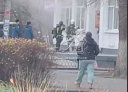 Пожар в котокафе унес жизнь пушистой кошечки