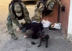 Опубликовано видео задержания воронежца, переводившего крипту ГУР Украины