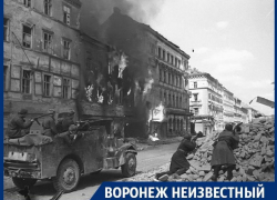 Какую роль в Великой Победе сыграл Воронежский фронт 