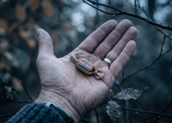 Требовал интимные фото у 12 девочек и насиловал 9-летнюю: педофил получил 22 года колонии