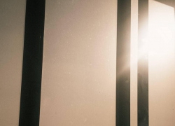 Климатический абьюз ожидается в Воронеже в ближайшие дни