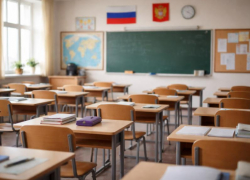 Школы Воронежа перевели на удаленку из-за мороза 