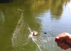 Незаконную сеть обнаружили в охранной зоне Воронежского заповедника