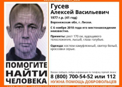 Пропавшего Гусева ищут в Воронежской области