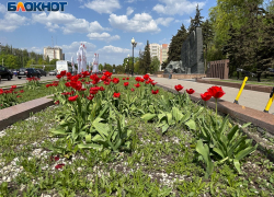 Парковку запретят в районе Памятника Славы в Воронеже