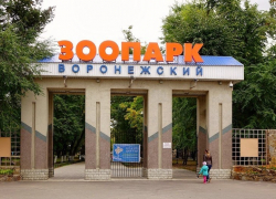  Летом воронежцы смогут увидеть обновленную коллекцию птиц Воронежского зоопарка