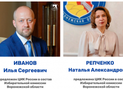  Илья Иванов повторно может быть назначен председателем избиркома Воронежской области