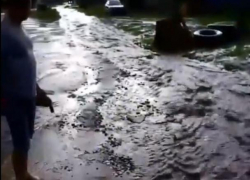 Стремительную реку дождевой воды вместо дороги показали на видео в Воронеже