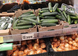 Цены на огурцы догнали виноград и авокадо в Воронеже 