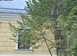 Возможное снижение скорости проводного интернета в Воронеже прокомментировали Минцифры 