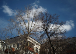 Какой будет погода в Воронеже в первые выходные апреля