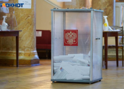 Решение о досрочных выборах в Госдуму принял избирком Воронежской области