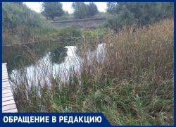На ужасное состояние Усманки пожаловались жители Воронежской области