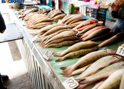 У воронежского водохранилища поймали браконьера с огромным уловом