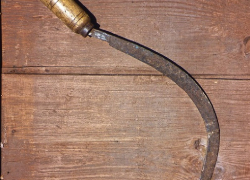 17-летний подросток ответит за удар воронежца серпом